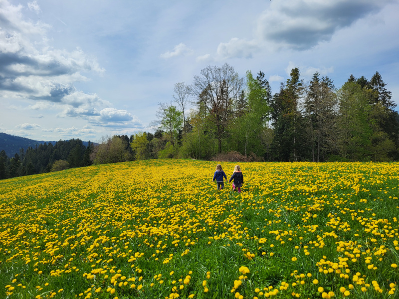 Regionale, ehrliche Herkunft